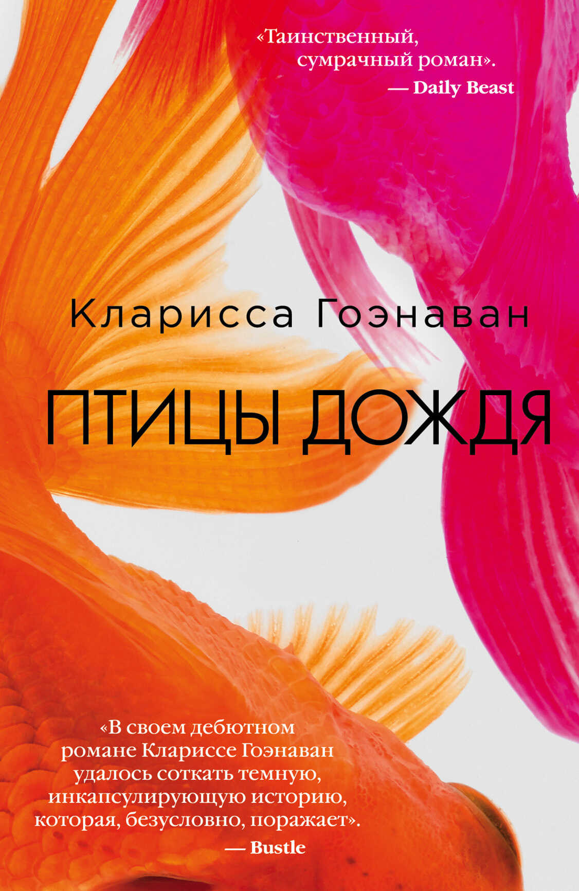 Онлайн книга - Птицы дождя - Кларисса Гоэнаван