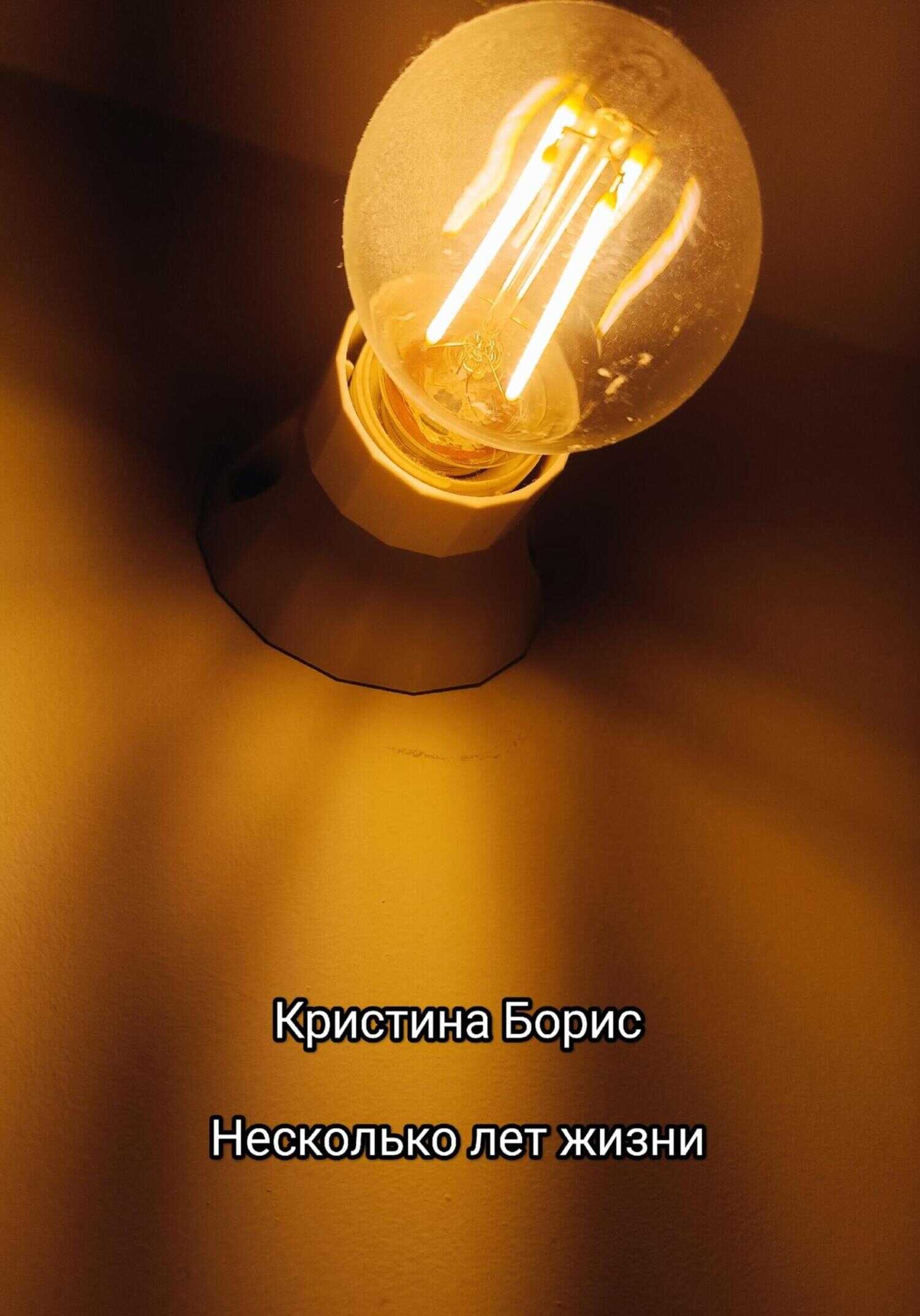 Онлайн книга - Несколько лет жизни - Кристина Александровна Борис