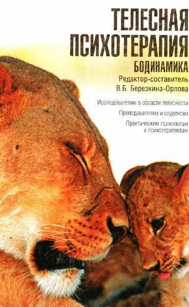 Онлайн книга - Телесная психотерапия. Бодинамика - В. Б. Березкина-Орлова