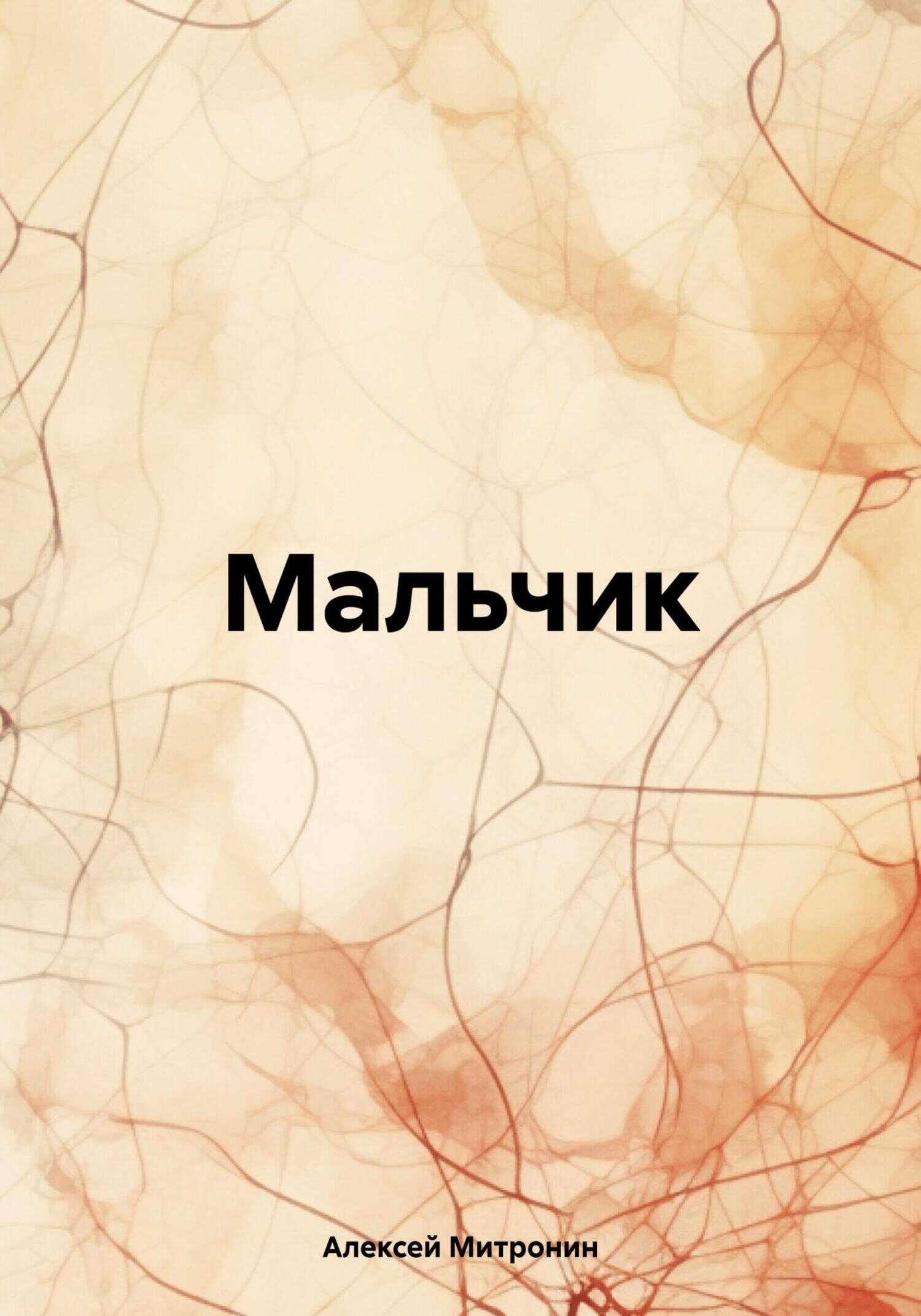 Онлайн книга - Мальчик - Алексей Митронин