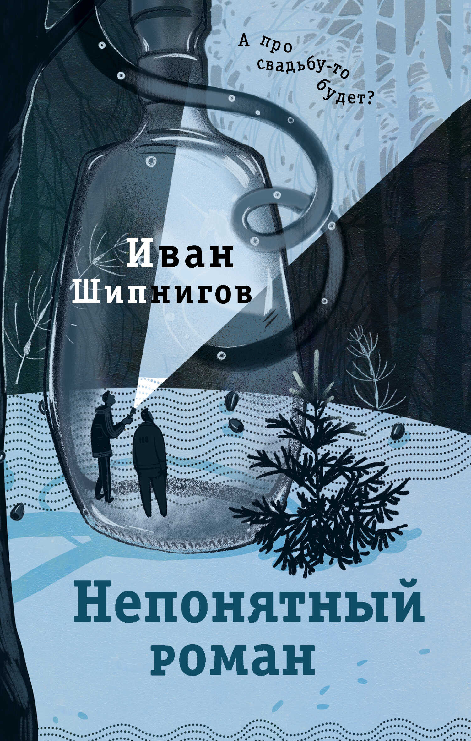 Онлайн книга - Непонятный роман - Иван Валерьевич Шипнигов