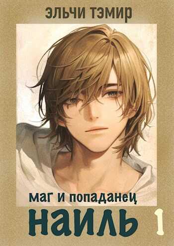 Онлайн книга - Наиль. Маг и попаданец - Эльчи Тэмир