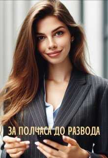 Онлайн книга - За полчаса до развода - Мира Айрон