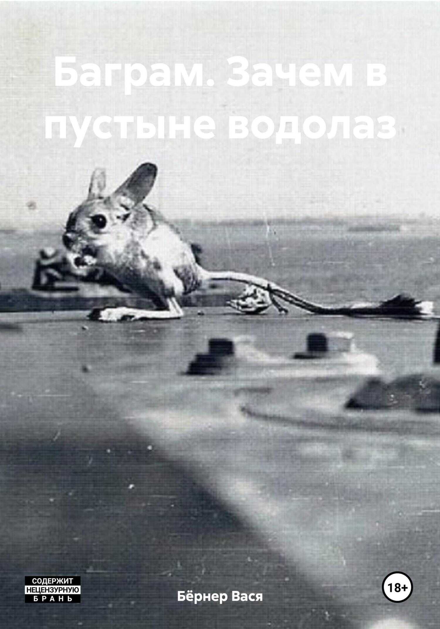 Онлайн книга - Баграм. Зачем в пустыне водолаз - Вася Бёрнер