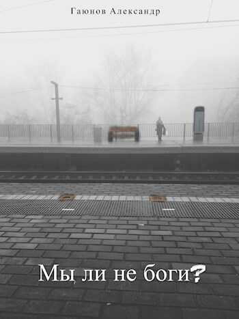 Онлайн книга - Мы ли не боги? - Александр Гаюнов