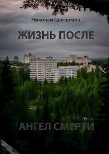 Онлайн книга - Жизнь после. Ангел Смерти - Н. А. Цыглимов