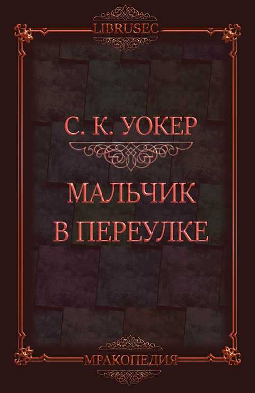 Онлайн книга - Мальчик в переулке - С. К. Уокер