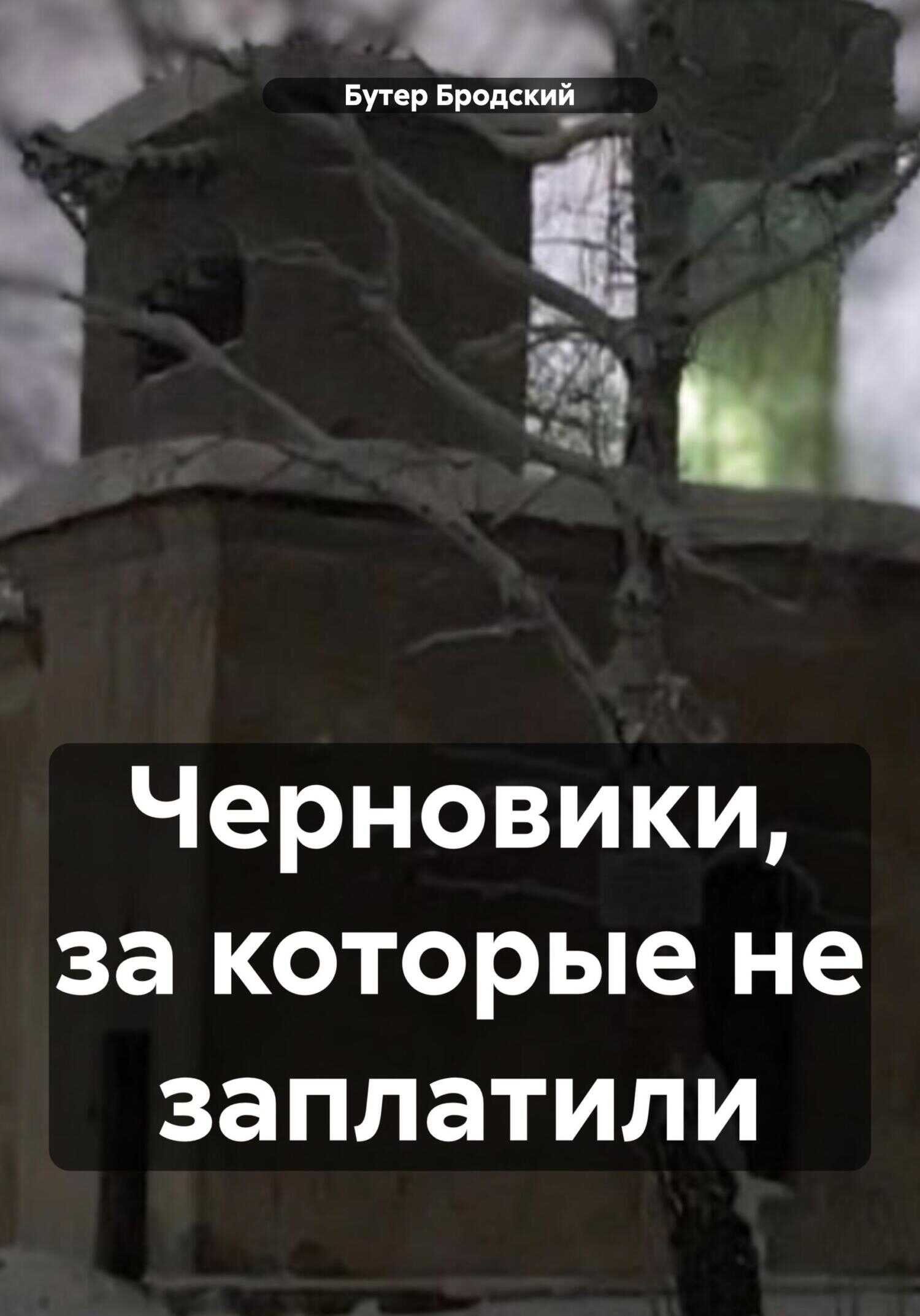 Онлайн книга - Черновики, за которые не заплатили - Бутер Бродский