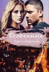 Онлайн книга - Особенные. Путь к совершенству - Элисон Блэк