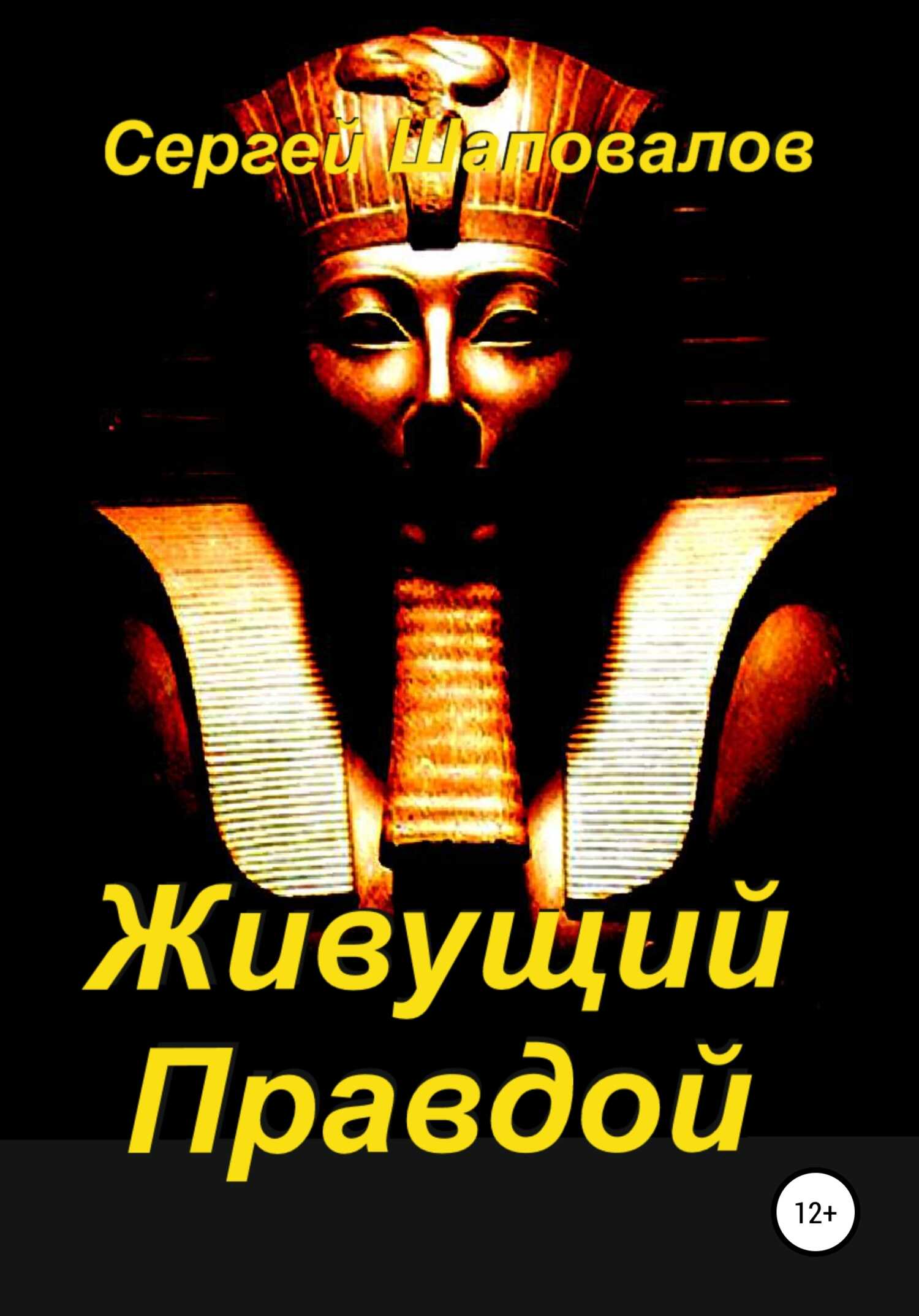 Онлайн книга - Живущий Правдой - Сергей Анатольевич Шаповалов