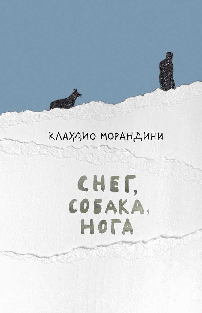 Онлайн книга - Снег, собака, нога - Клаудио Морандини