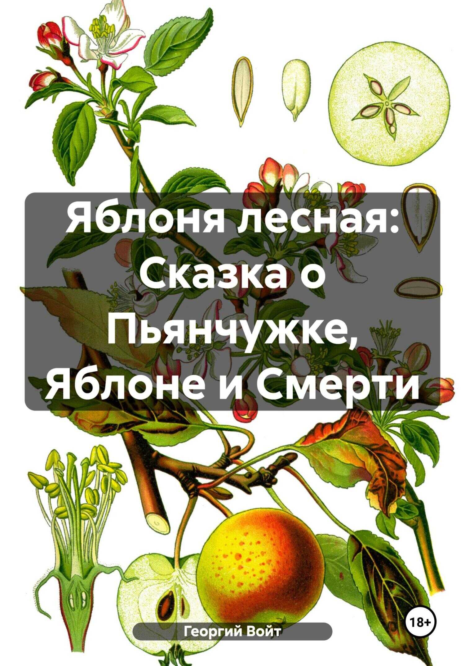 Онлайн книга - Яблоня лесная: Сказка о Пьянчужке, Яблоне и Смерти - Георгий Войт