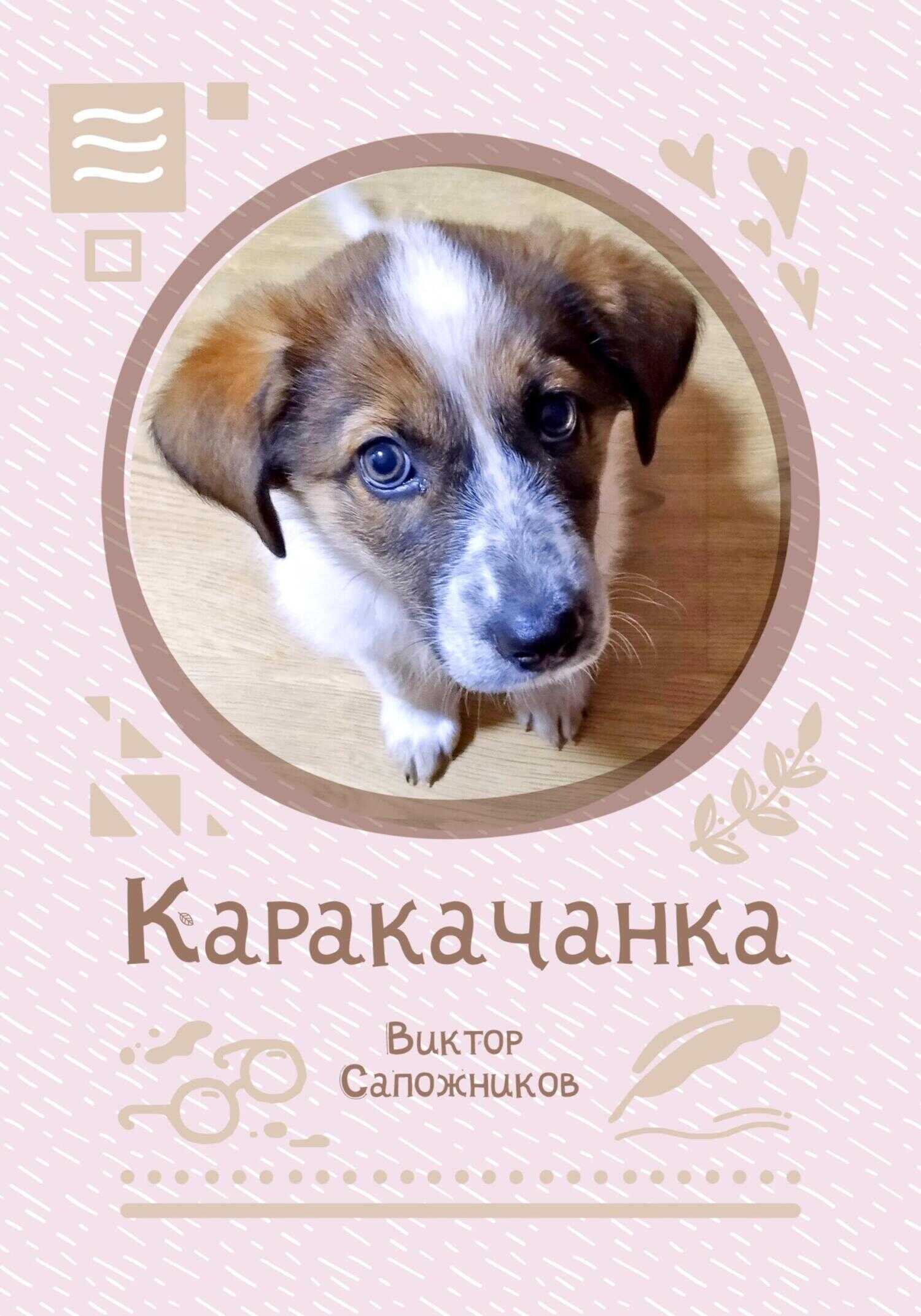 Онлайн книга - Каракачанка - Виктор Сапожников