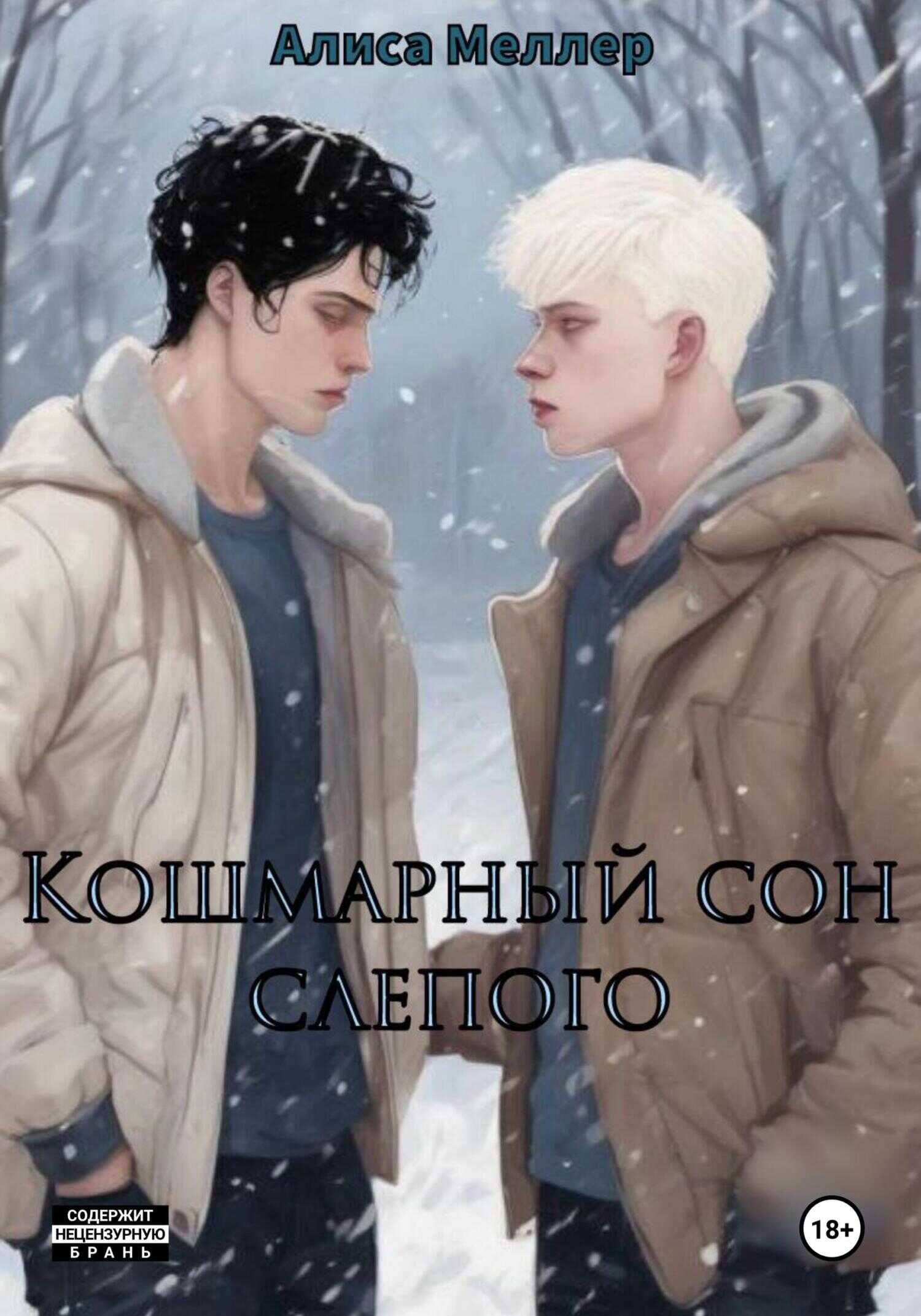 Онлайн книга - Кошмарный сон слепого - Алиса Меллер