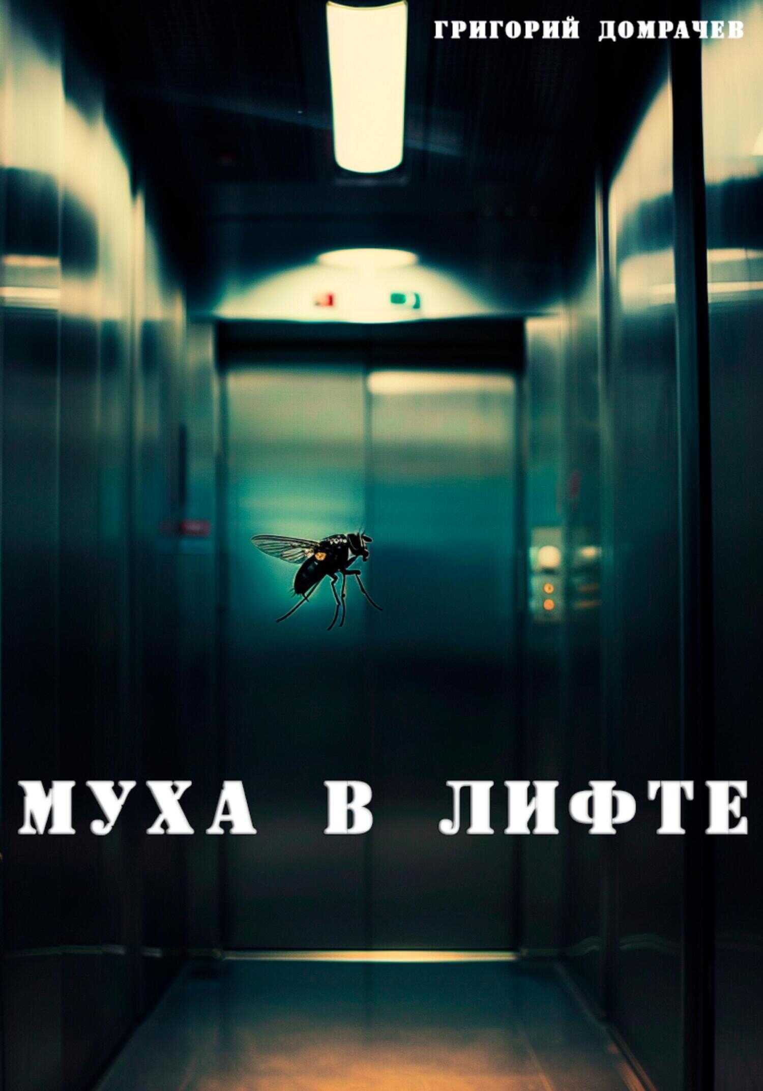Онлайн книга - Муха в лифте - Григорий Домрачев