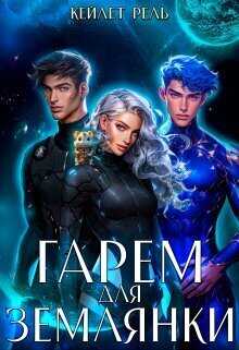 Онлайн книга - Гарем для землянки - Кейлет Рель