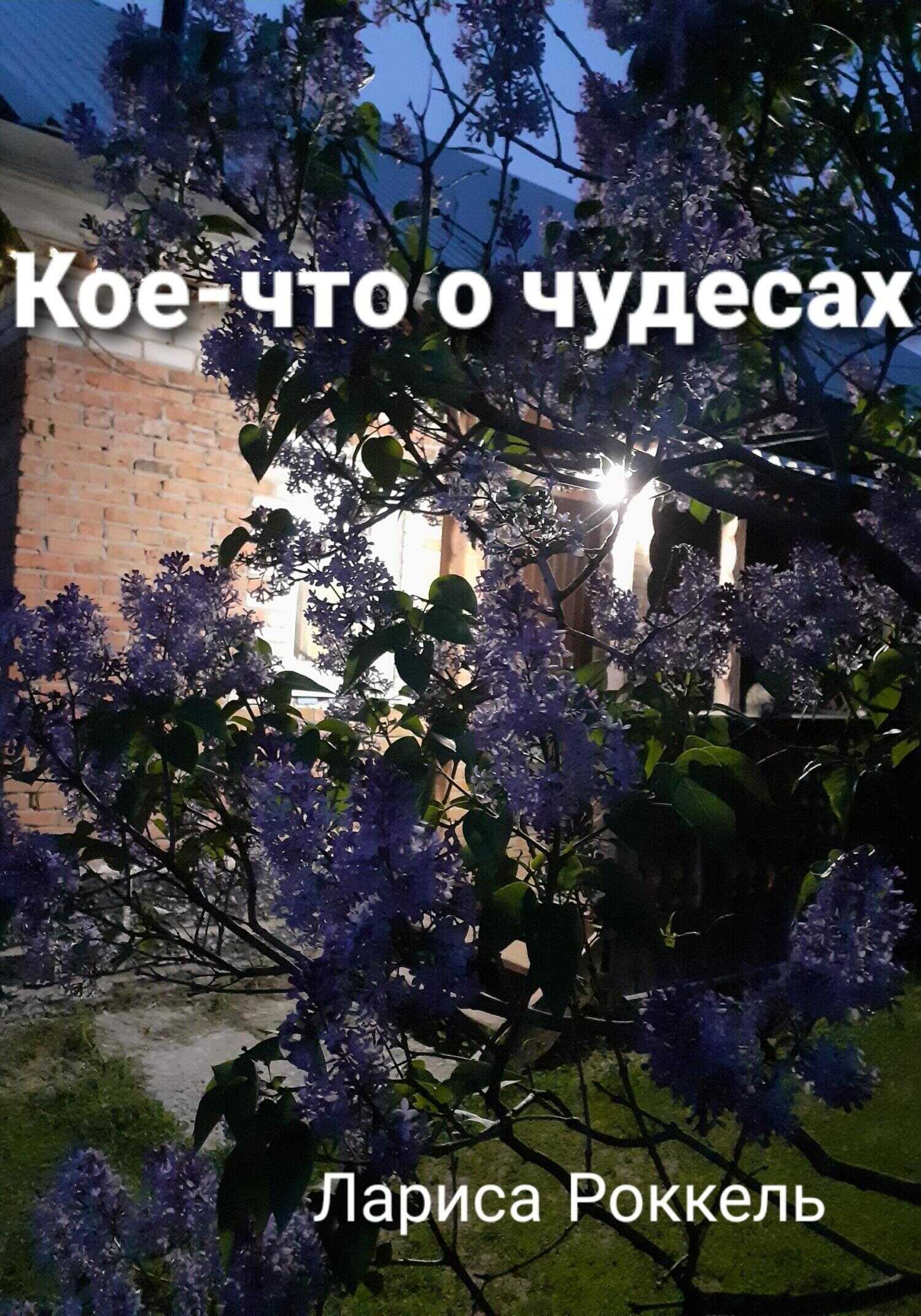 Онлайн книга - Кое-что о чудесах - Лариса Роккель