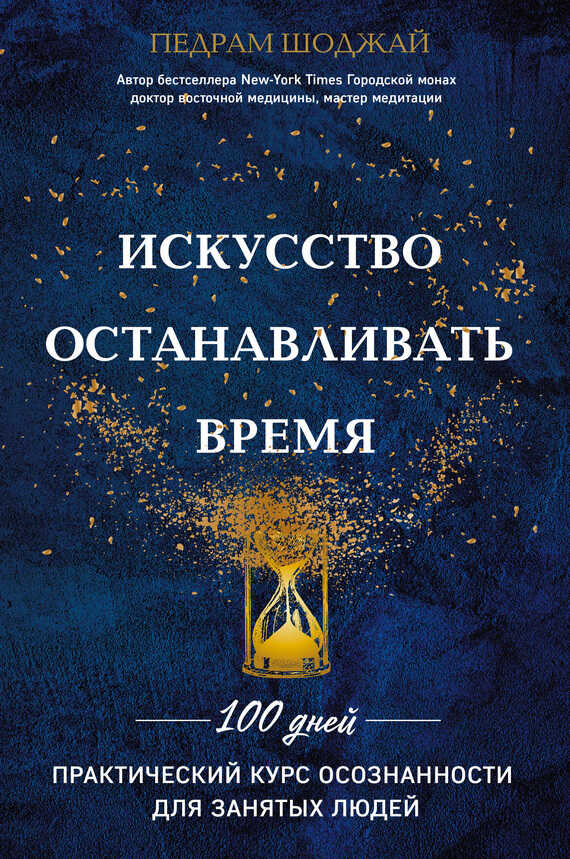 Онлайн книга - Искусство останавливать время - Педрам Шоджай