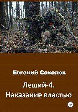 Онлайн книга - Наказание властью - Евгений Владимирович Соколов