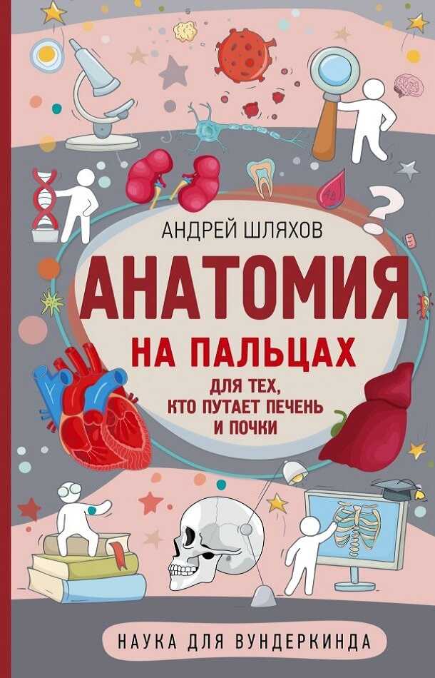 Онлайн книга - Анатомия на пальцах. Для тех, кто путает печень и почки - Андрей Левонович Шляхов