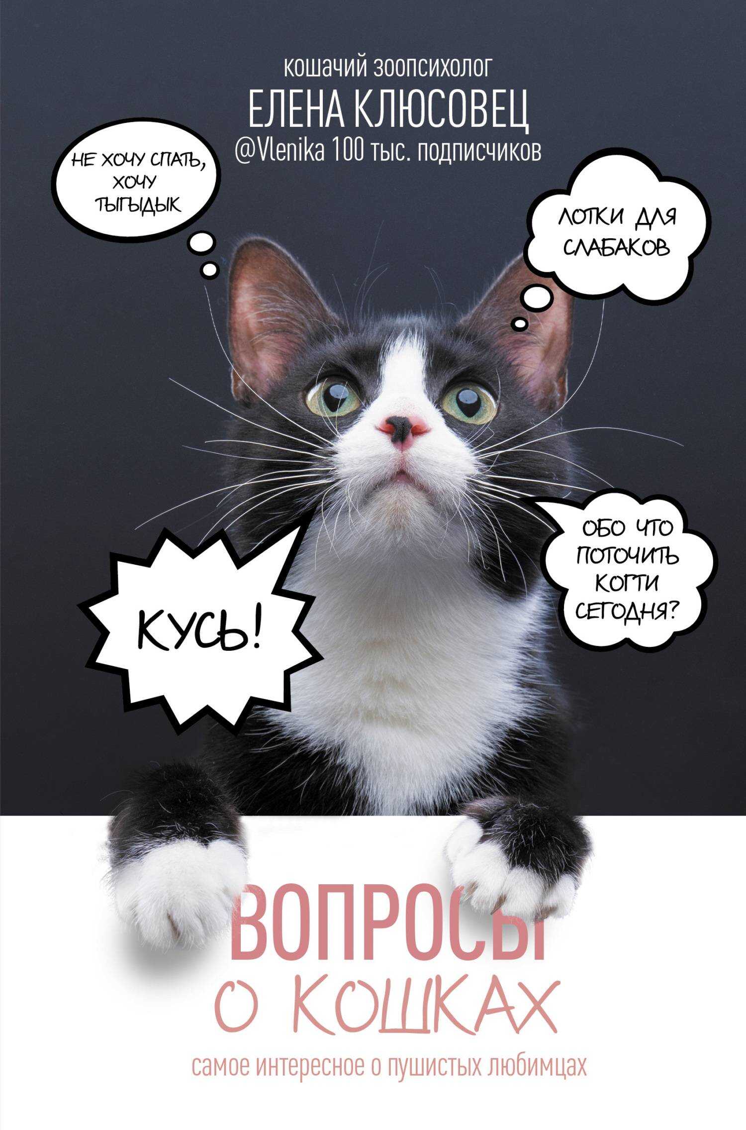 Онлайн книга - Вопросы о кошках. Самое интересное о пушистых любимцах - Елена Валериевна Клюсовец