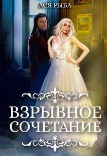 Онлайн книга - Взрывное сочетание - Ася Рыба