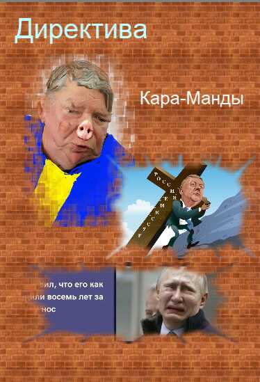 Онлайн книга - Директива кара-манды - Виктор Васильевич Вецкий
