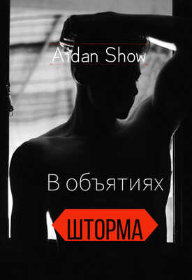 Онлайн книга - В объятиях шторма - Aidan Show