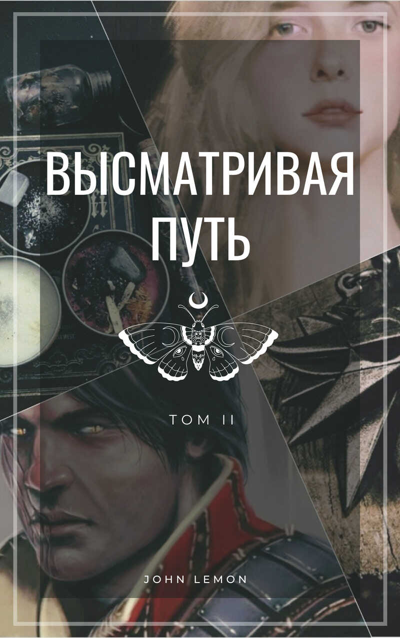 Онлайн книга - Высматривая путь. Том II - Маккарти