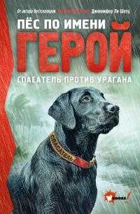 Онлайн книга - Спасатель против урагана - Дженнифер Ли Шотц