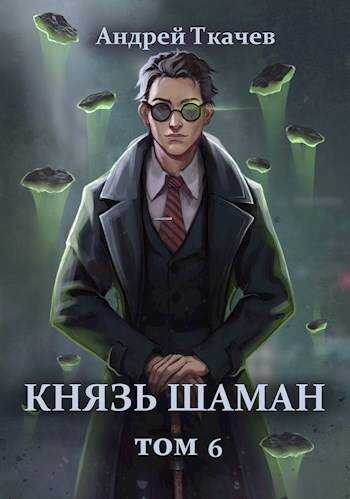Онлайн книга - Князь шаман. Том 6 - Андрей Сергеевич Ткачев