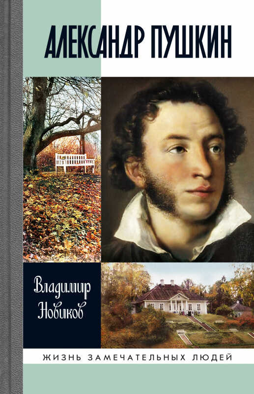 Онлайн книга - Александр Пушкин - Владимир Иванович Новиков