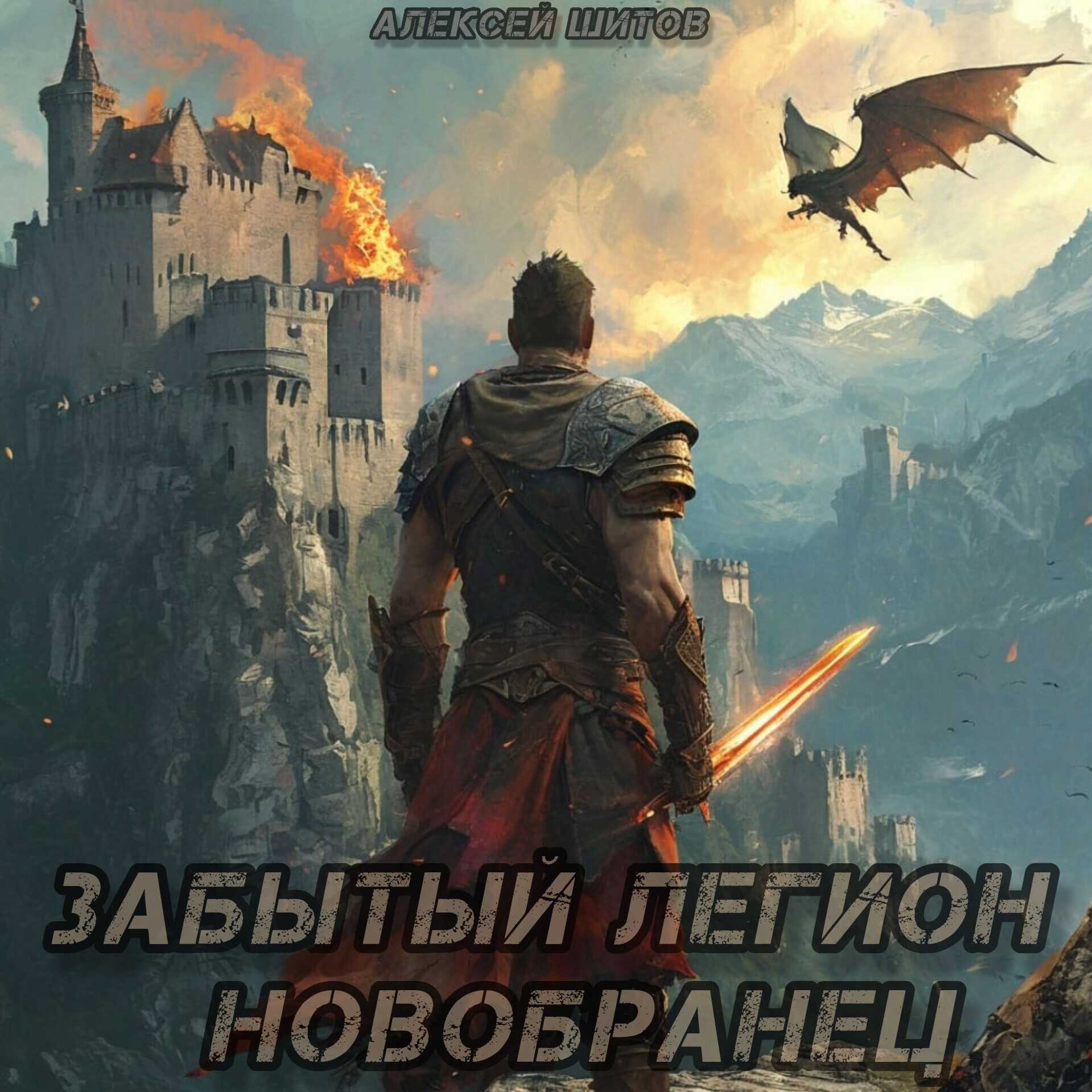 Онлайн книга - Новобранец - Алексей Шитов
