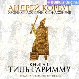 Онлайн книга - Тиль Гаримму - Андрей Евгеньевич Корбут
