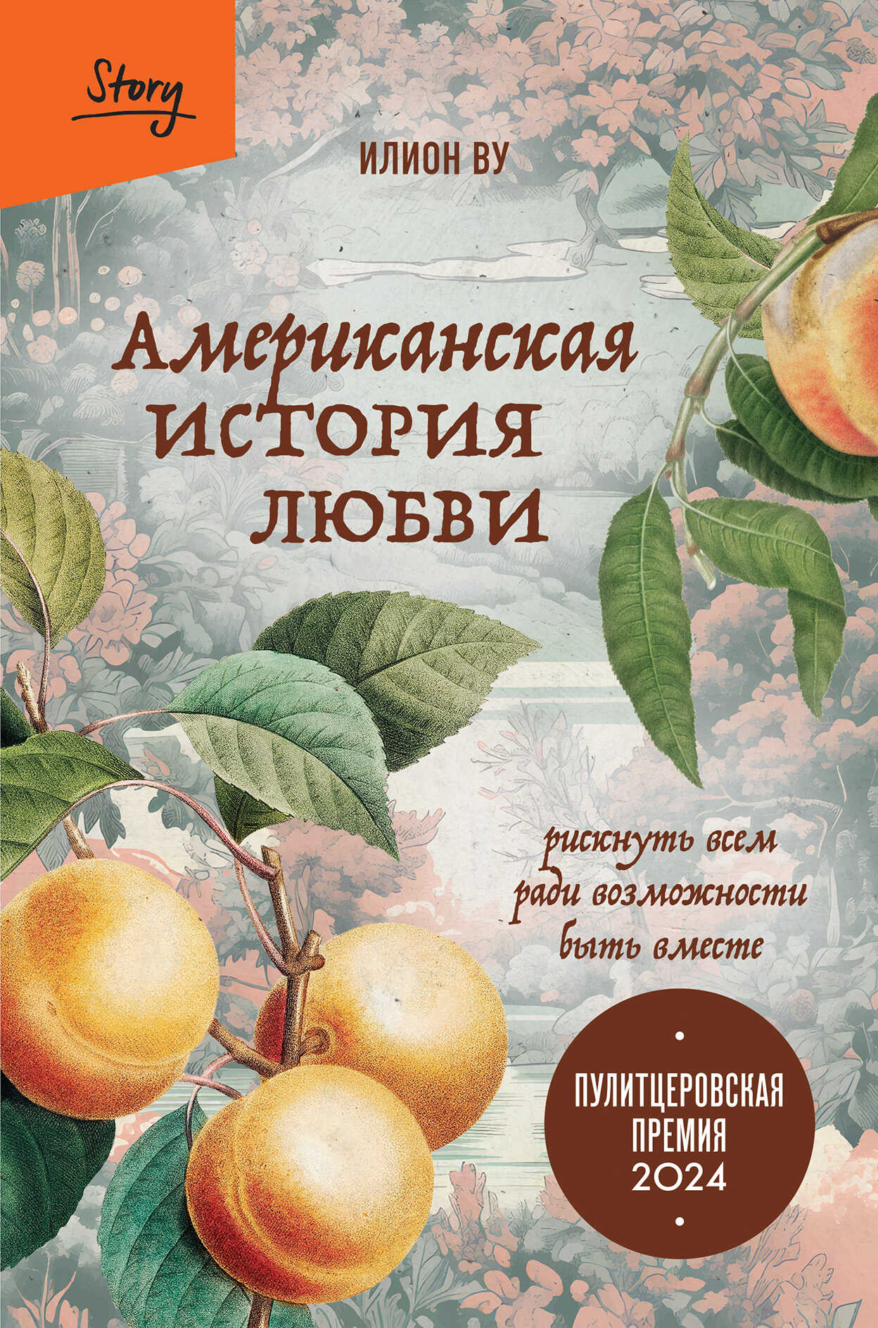 Онлайн книга - Американская история любви. Рискнуть всем ради возможности быть вместе - Илион Ву