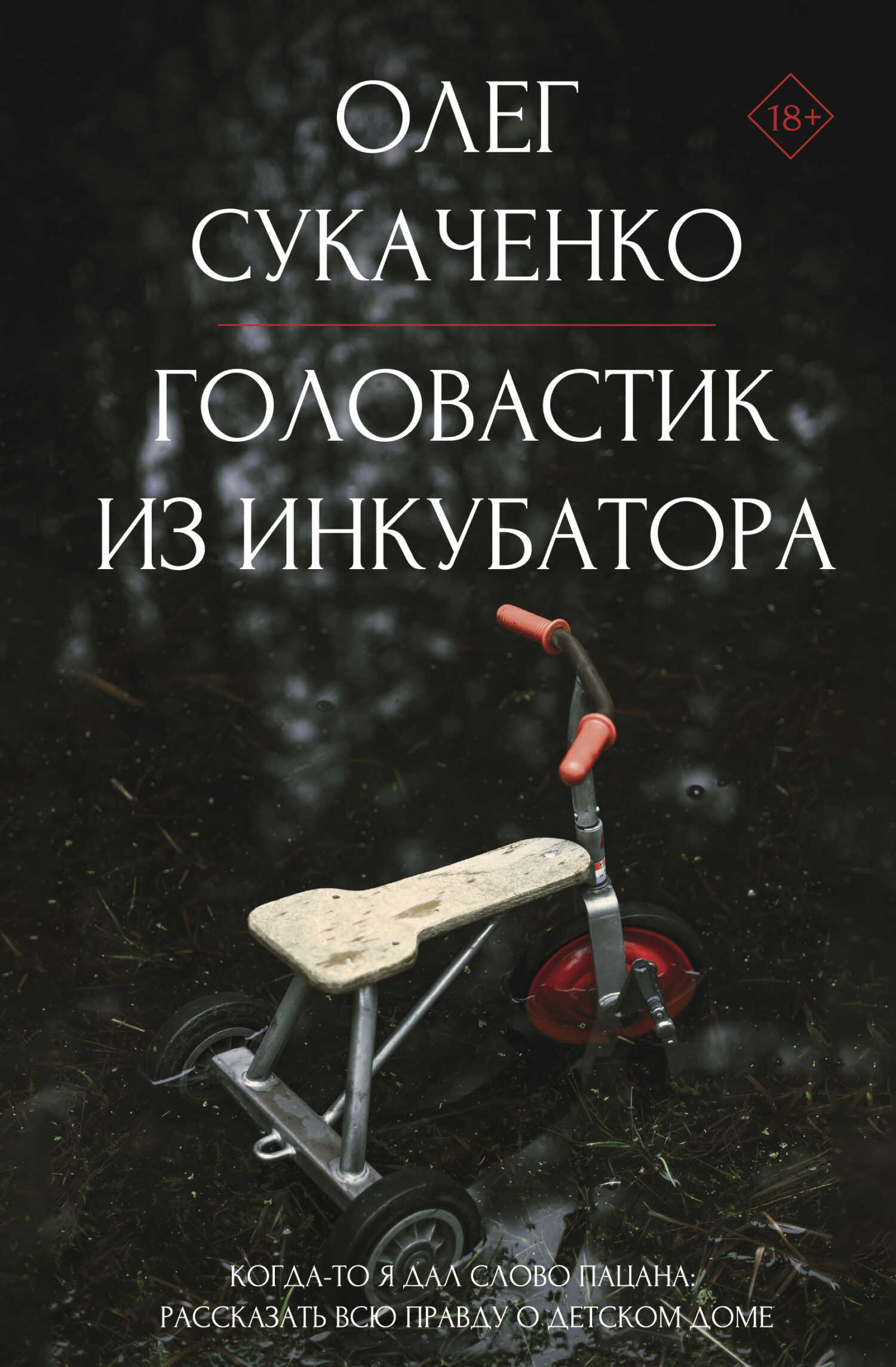 Онлайн книга - Головастик из инкубатора. Когда-то я дал слово пацана: рассказать всю правду о детском доме - Олег А