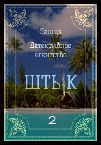 Онлайн книга - Детективное агентство "Штык" 2 - Самат Айдосович Сейтимбетов