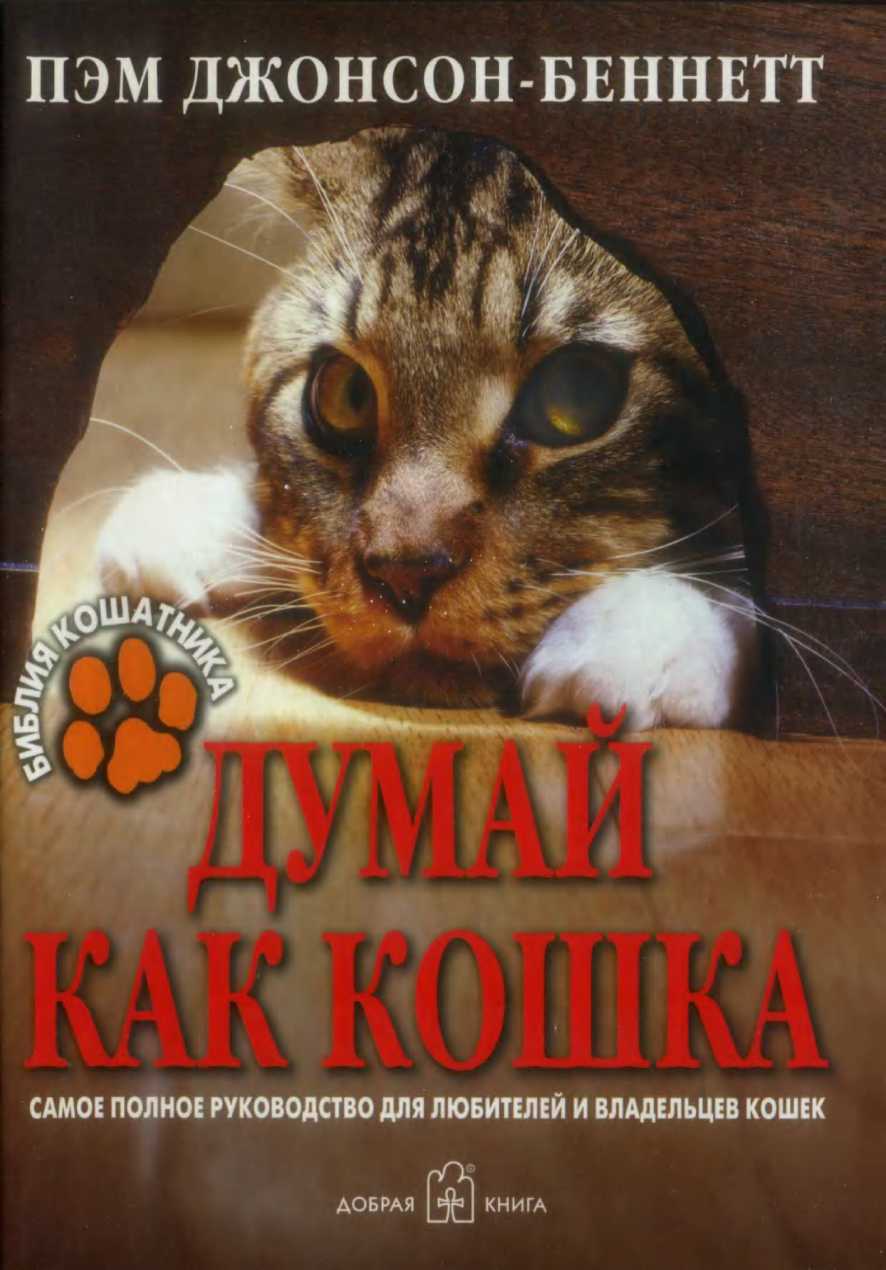 Онлайн книга - Думай как кошка - Пэм Джонсон‑Беннетт