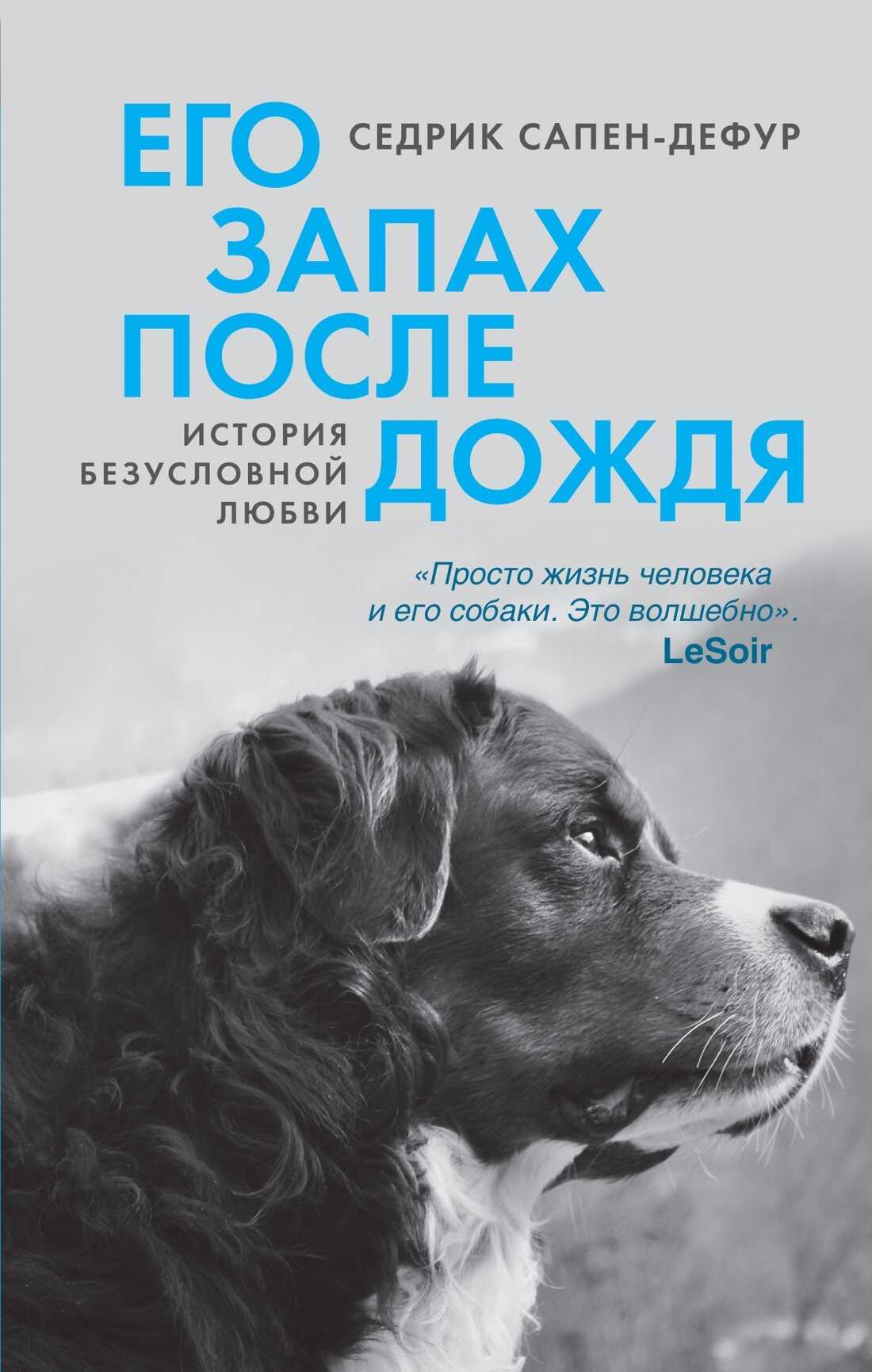 Онлайн книга - Его запах после дождя - Седрик Сапен-Дефур