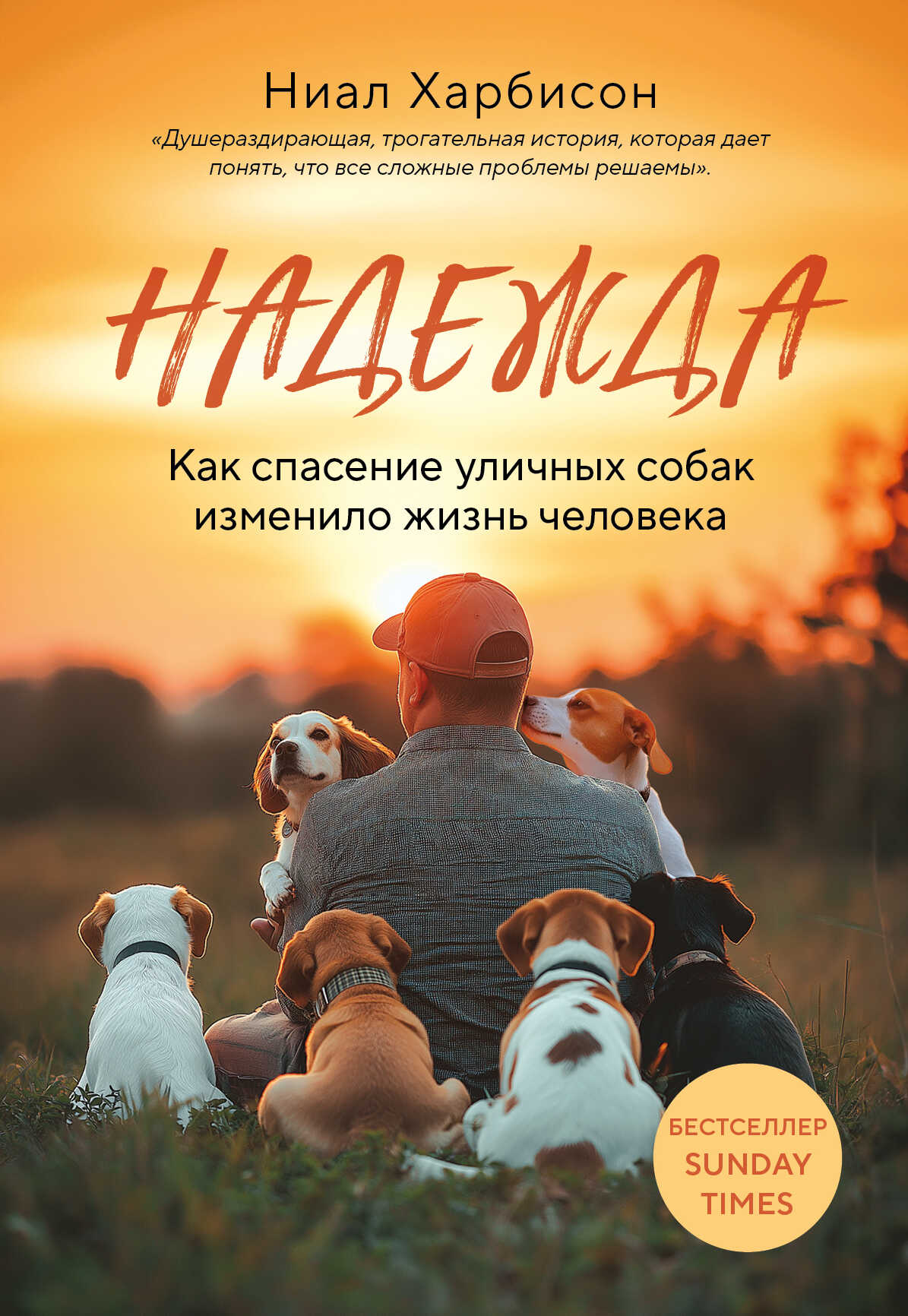 Онлайн книга - Надежда. Как спасение уличных собак изменило жизнь человека - Ниал Харбисон