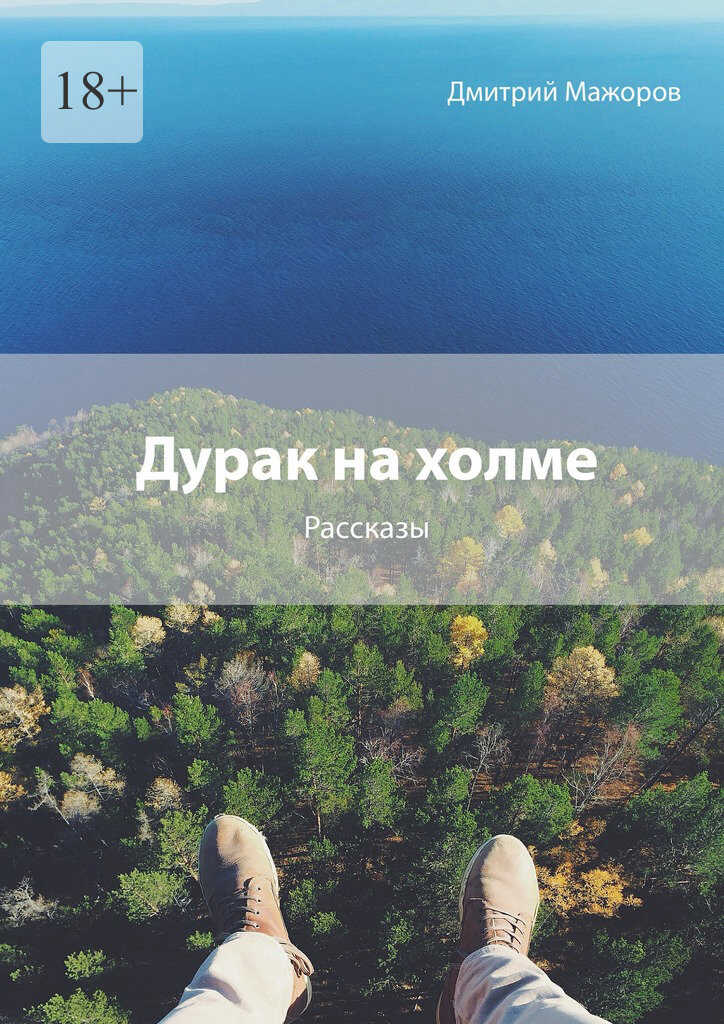 Онлайн книга - Дурак на холме - Дмитрий Андреевич Мажоров