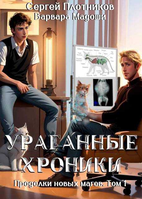 Онлайн книга - Ураганные хроники - Сергей Александрович Плотников