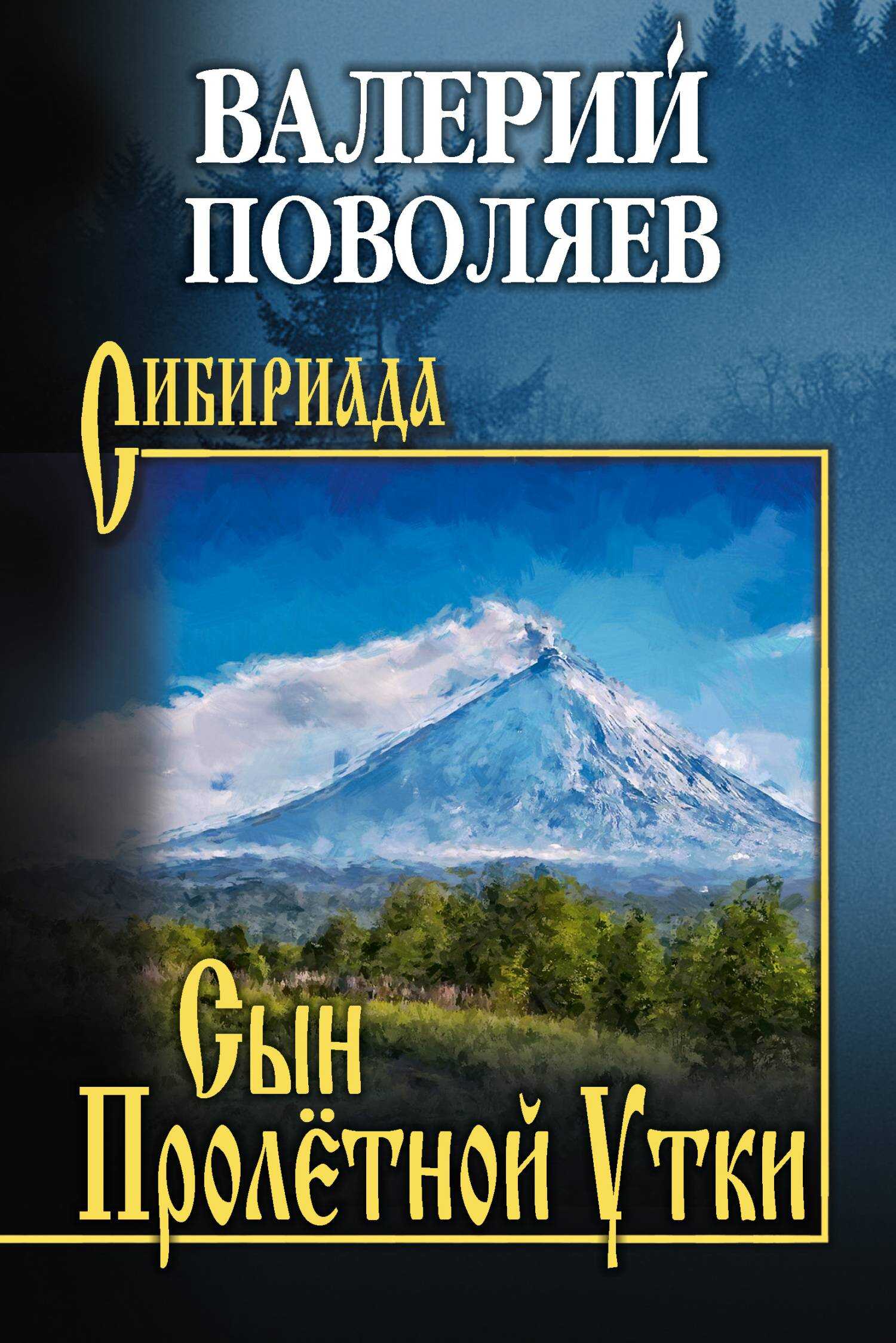 Онлайн книга - Сын Пролётной Утки - Валерий Дмитриевич Поволяев
