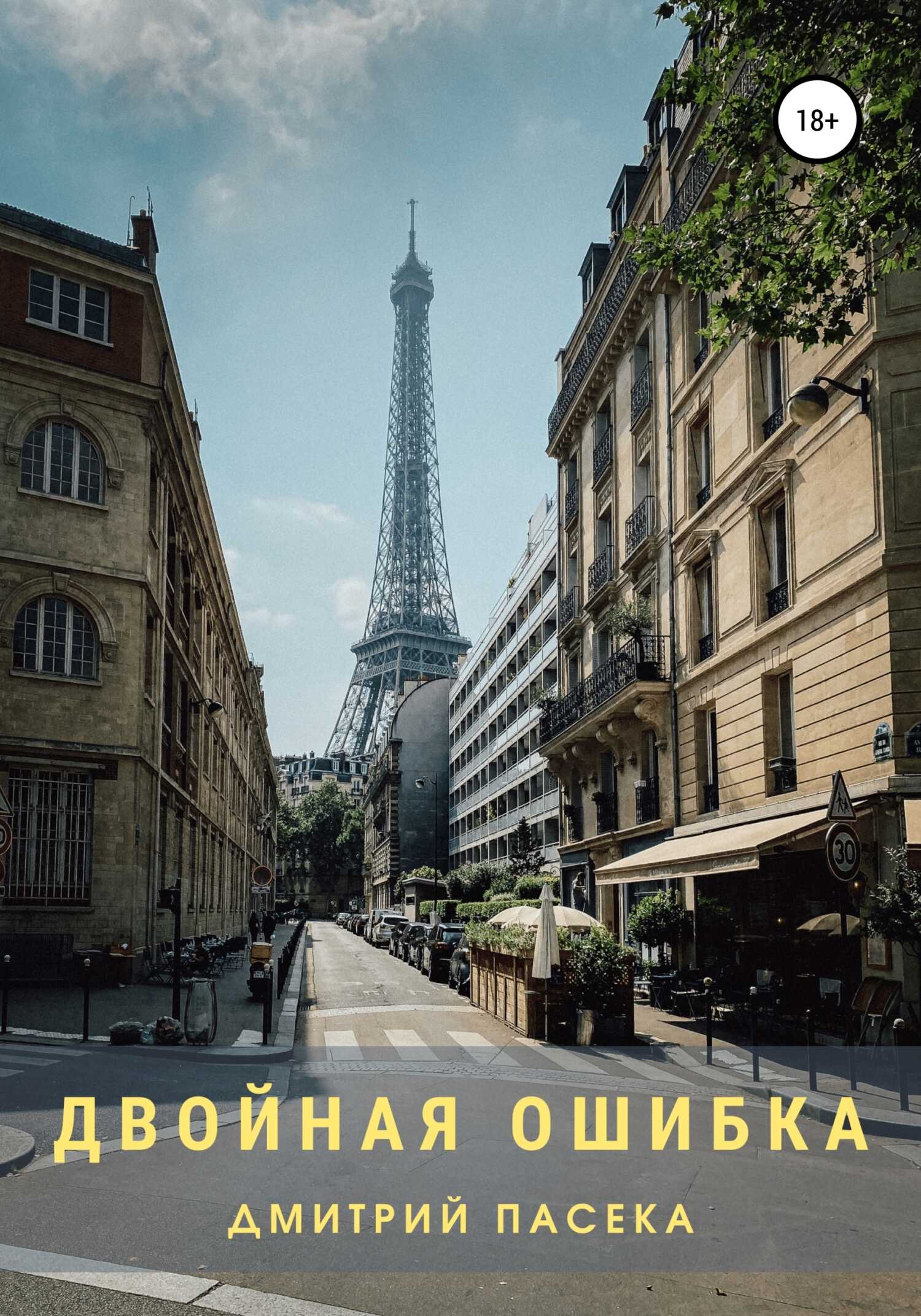 Онлайн книга - Двойная ошибка - Дмитрий Борисович Пасека