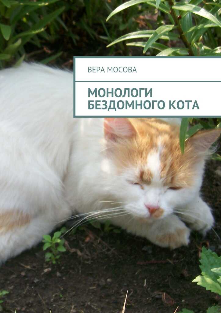Онлайн книга - Монологи бездомного кота - Вера Евгеньевна Мосова
