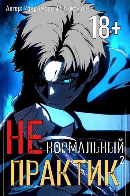 Онлайн книга - Ненормальный практик 2 - Отшельник Извращённый