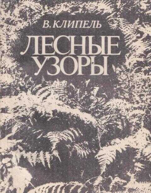 Онлайн книга - Лесные узоры - Владимир Иванович Клипель