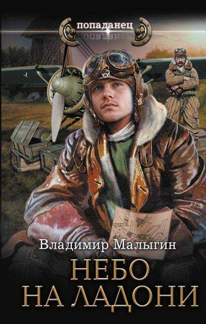 Онлайн книга - Небо на ладони - Владимир Владиславович Малыгин