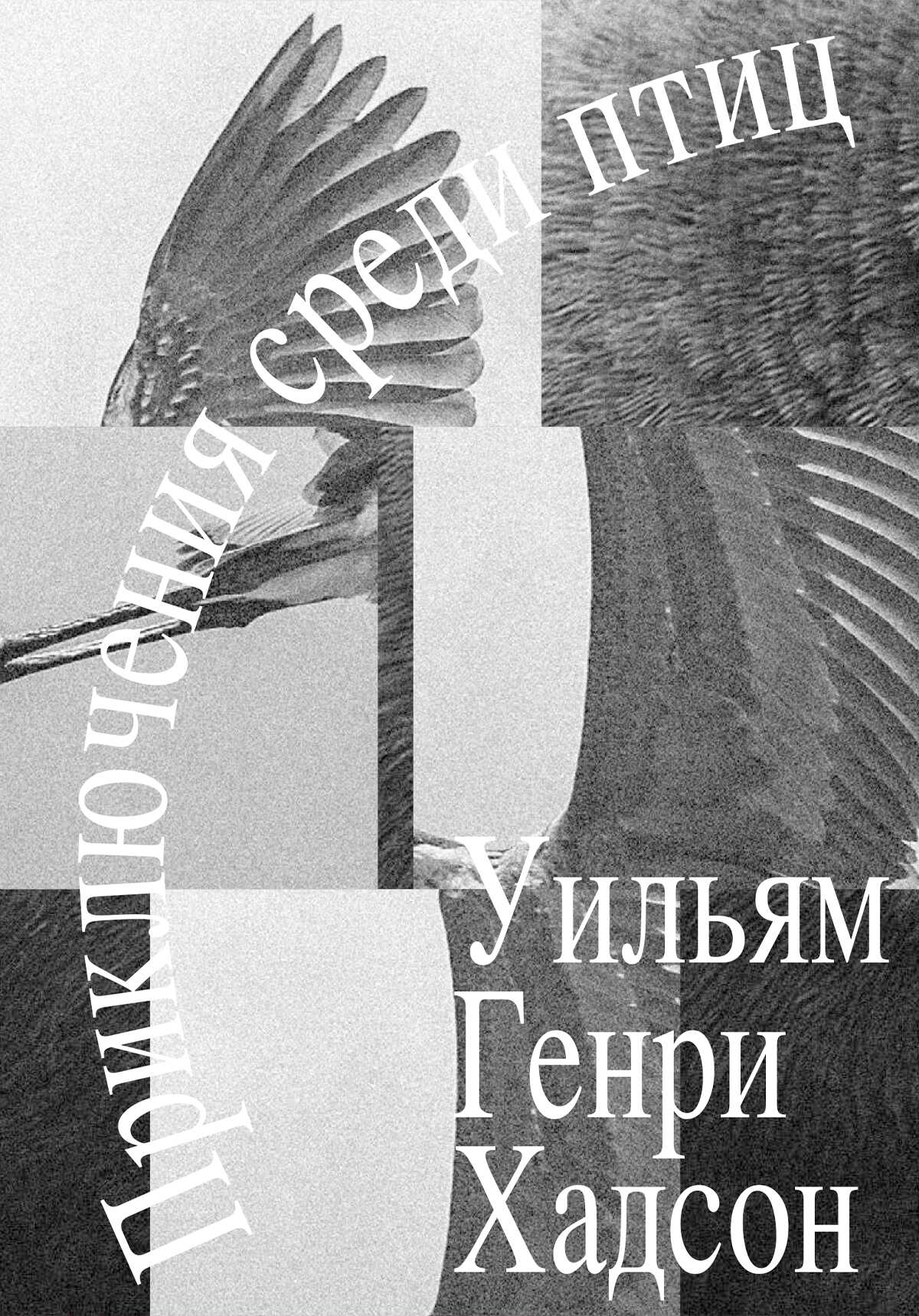 Онлайн книга - Приключения среди птиц - Уильям Генри Хадсон