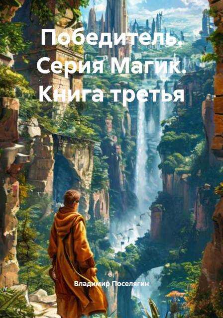 Онлайн книга - Победитель - Владимир Геннадьевич Поселягин